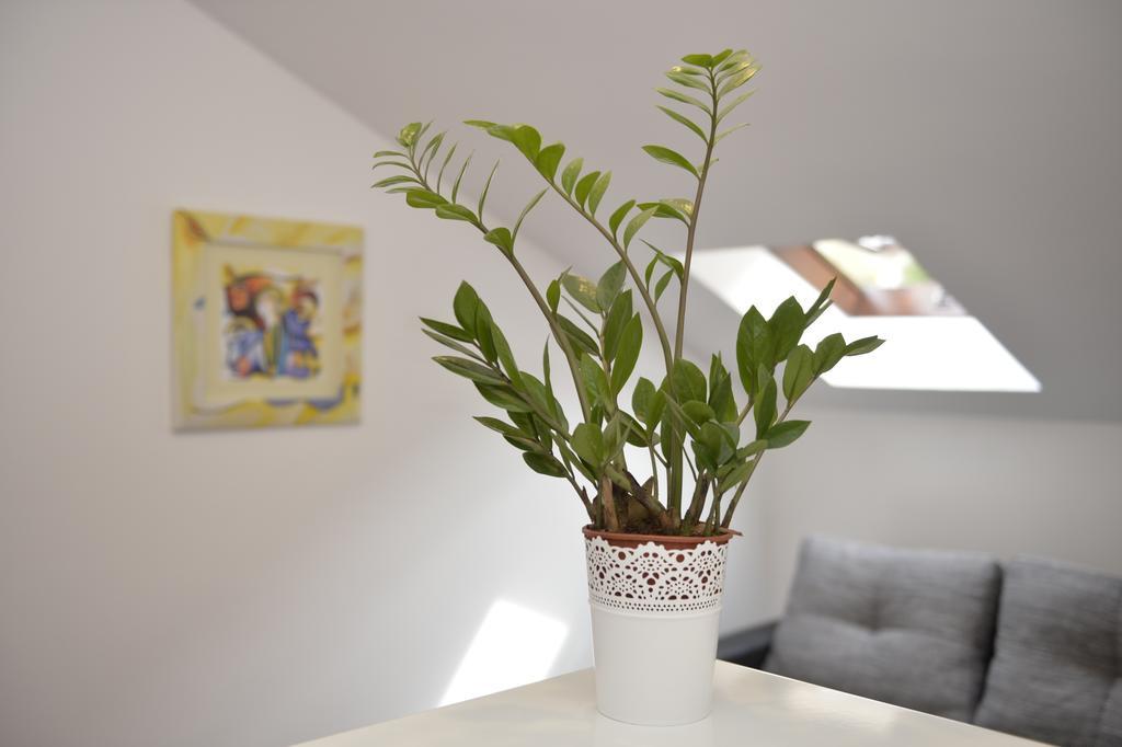 Apartment Damjan Котор Экстерьер фото